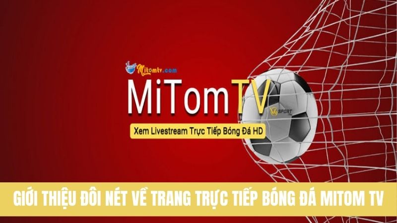 giới thiệu mì tôm tv 